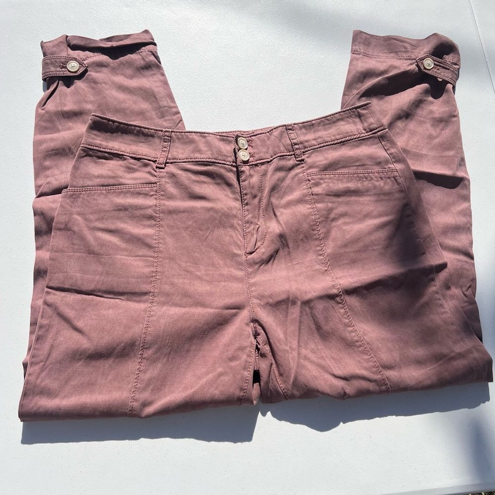 Loft Mauve Pants